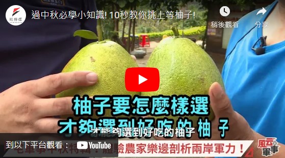 過中秋必學小知識! 10秒教你挑上等柚子!